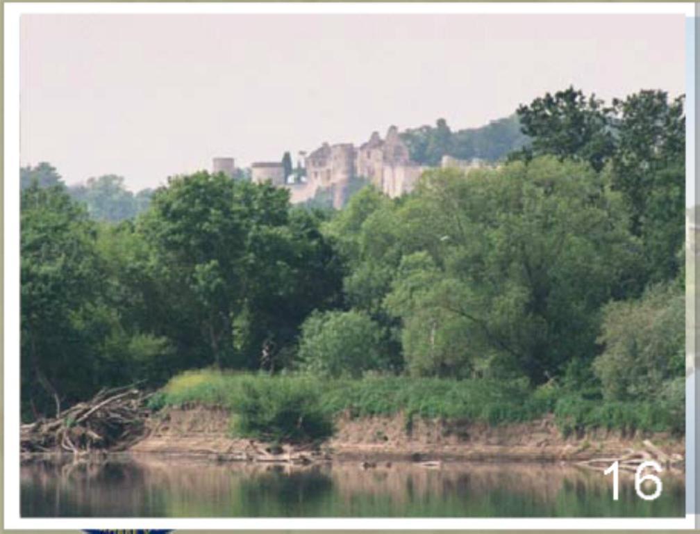 Domaine Du Heron Chinon Exteriör bild